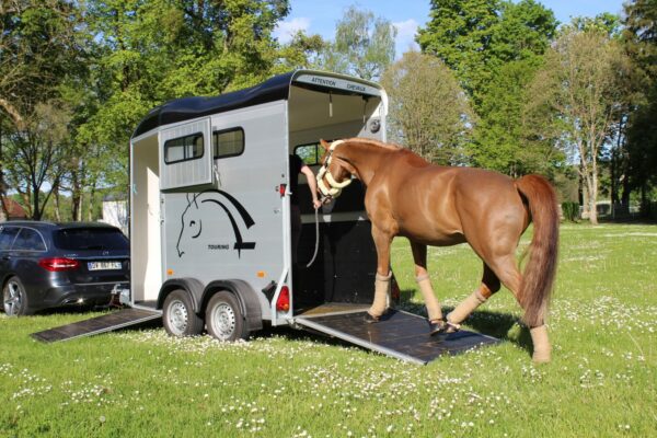 Cheval Liberte Touring One Horse Trailer