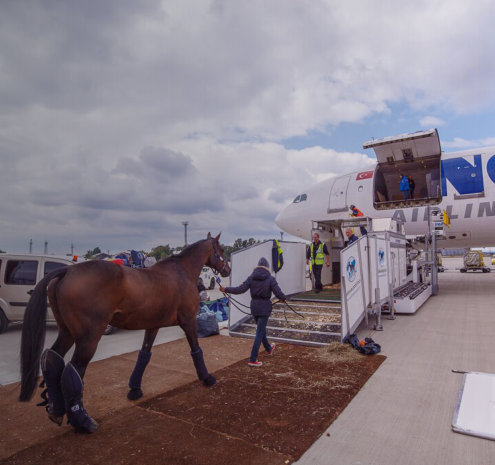 Specialist Fabrication